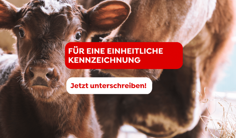 Petition Einheitliche Kennzeichnung