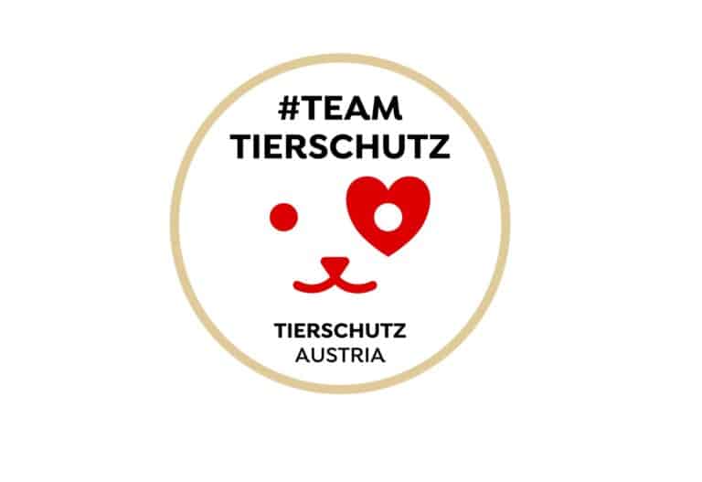 Team Tierschutz amorph